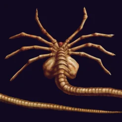 getDigital Facehugger-Multifunktionstuch Hot