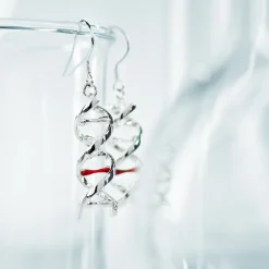 getDigital Geek Gem DNS-Ohrringe Discount