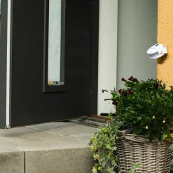 InnovAdvance Katzenklingel