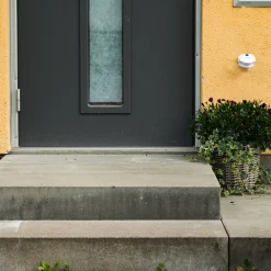 InnovAdvance Katzenklingel