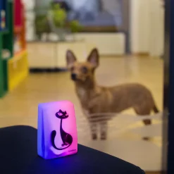 InnovAdvance Katzenklingel