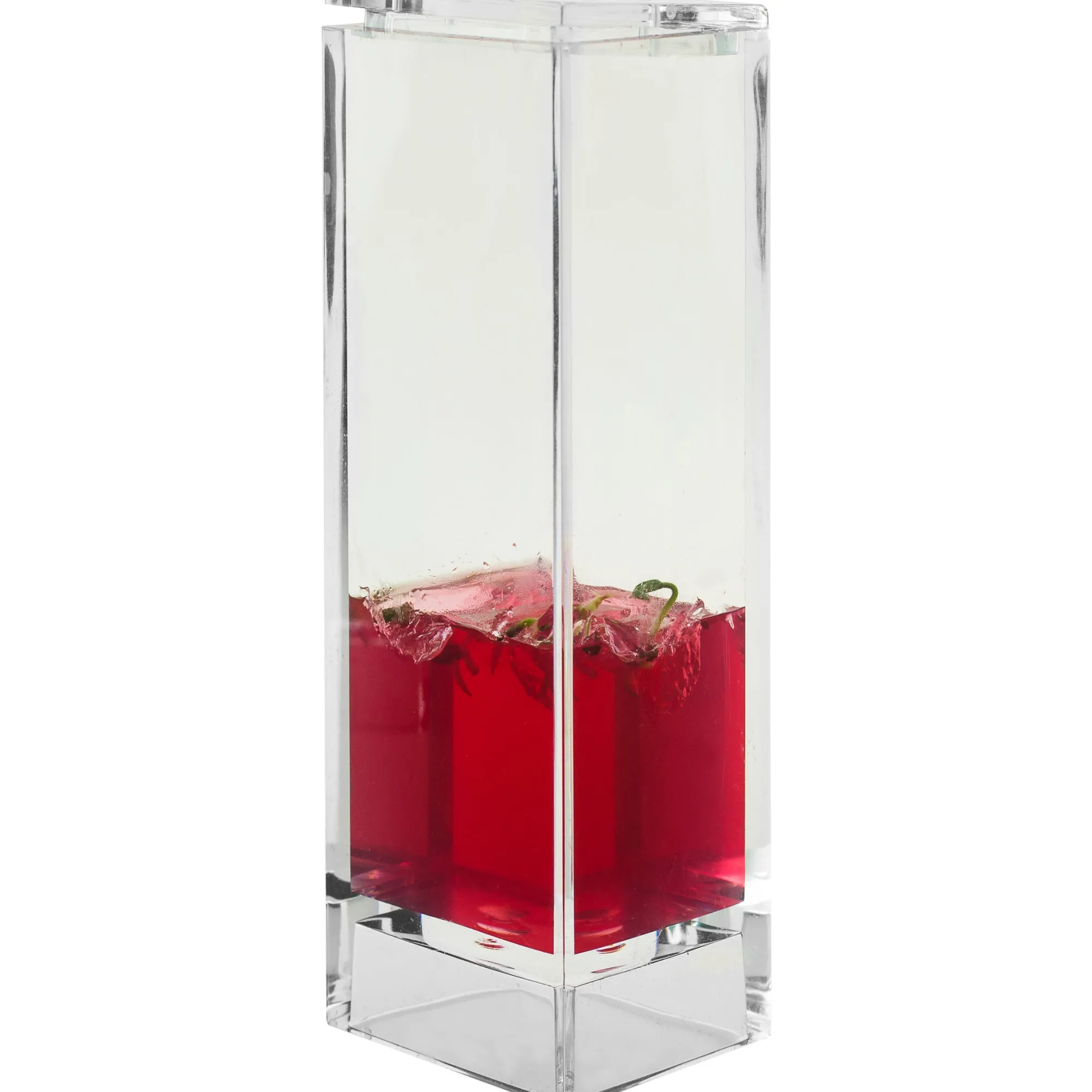 Plantarium Garden Lab Online