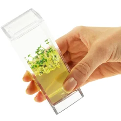 Plantarium Garden Lab Online