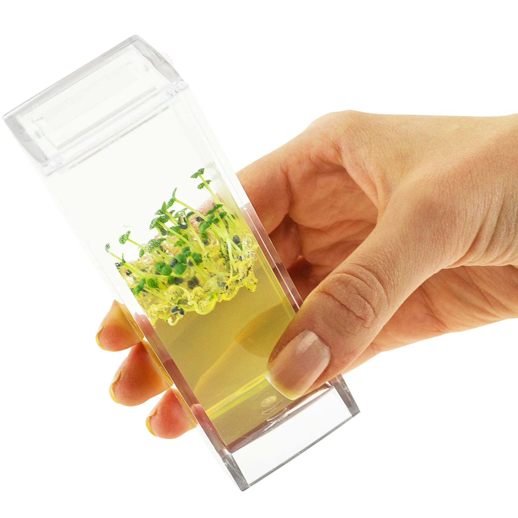 Plantarium Garden Lab Online