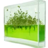 Plantarium Super Discount