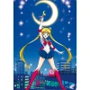 AbyStyle Sailor Moon Poster "Sailor Moon" New