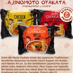 ViaMundi Susuru - Deine japanische Ramen-Box New